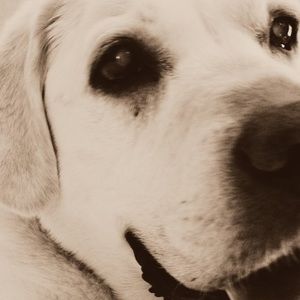 Meet your Posher, Lynne